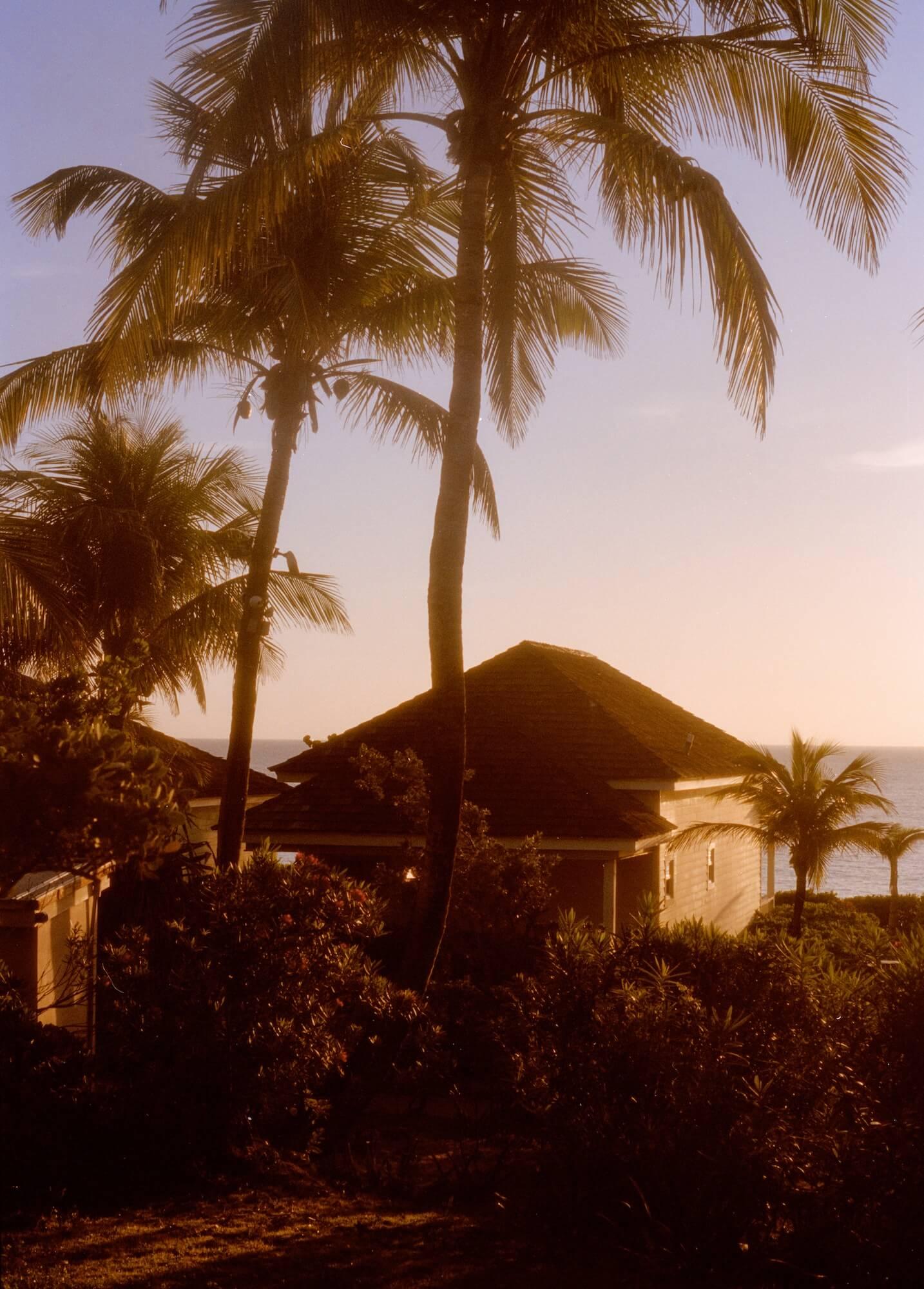 Sea-View Bungalow