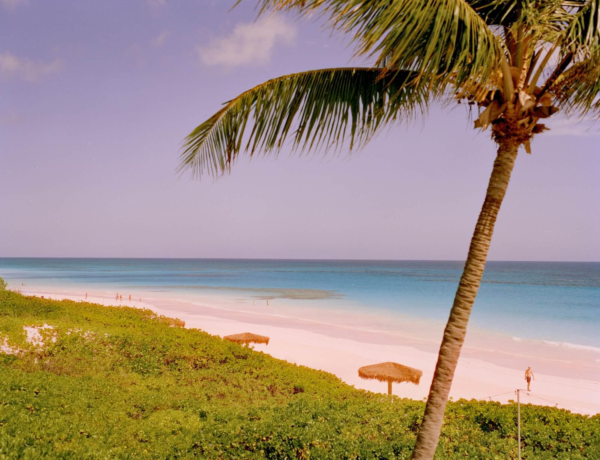 Coral Sands Beach