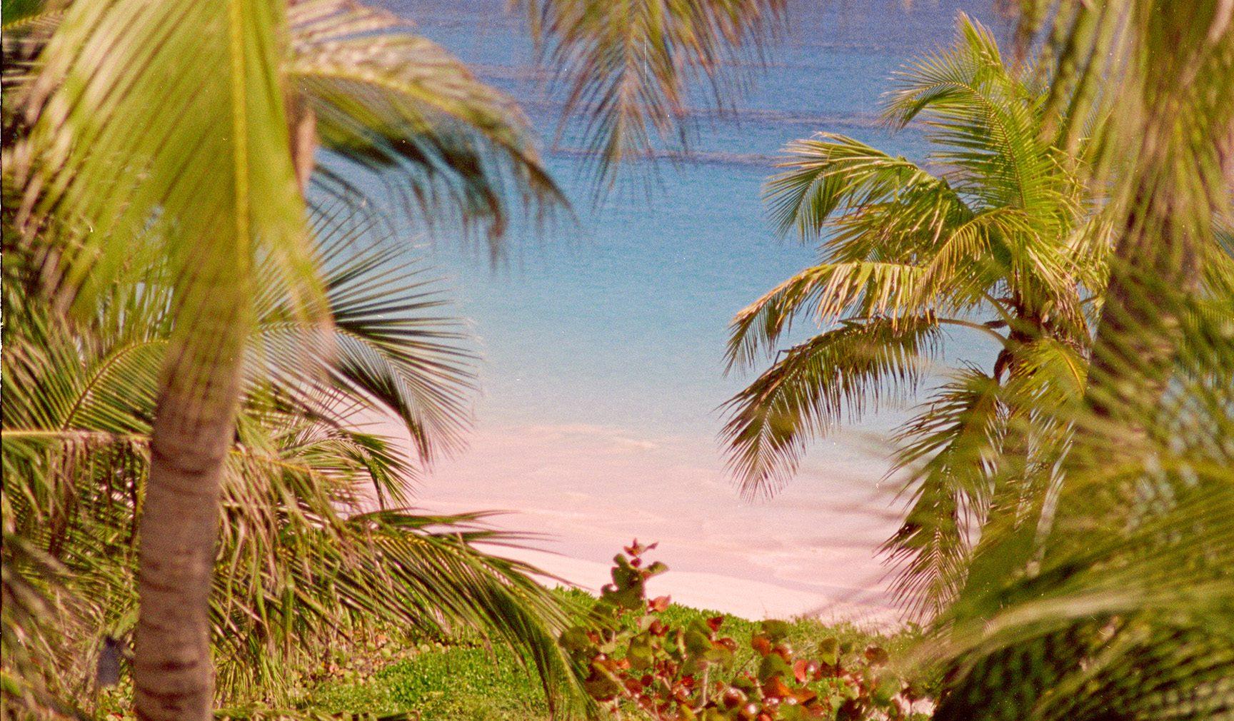 Coral Sands Beach