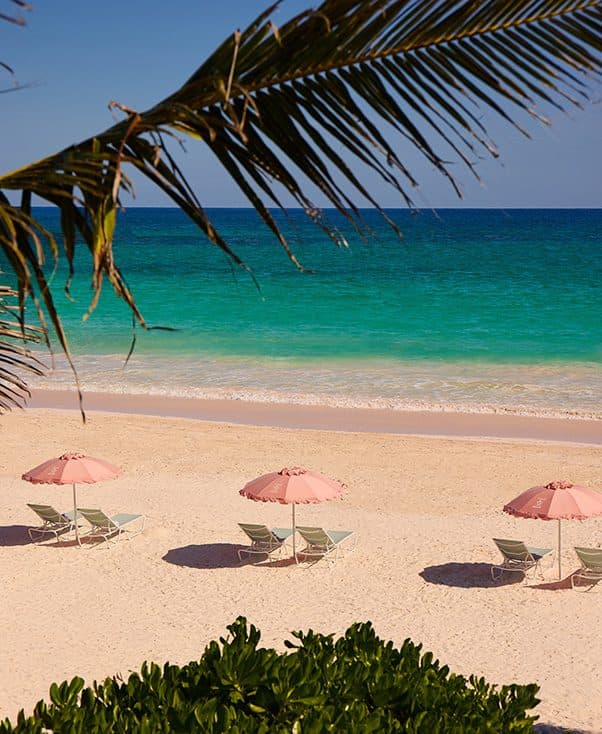 three pink umbrellas on the pink sand beach